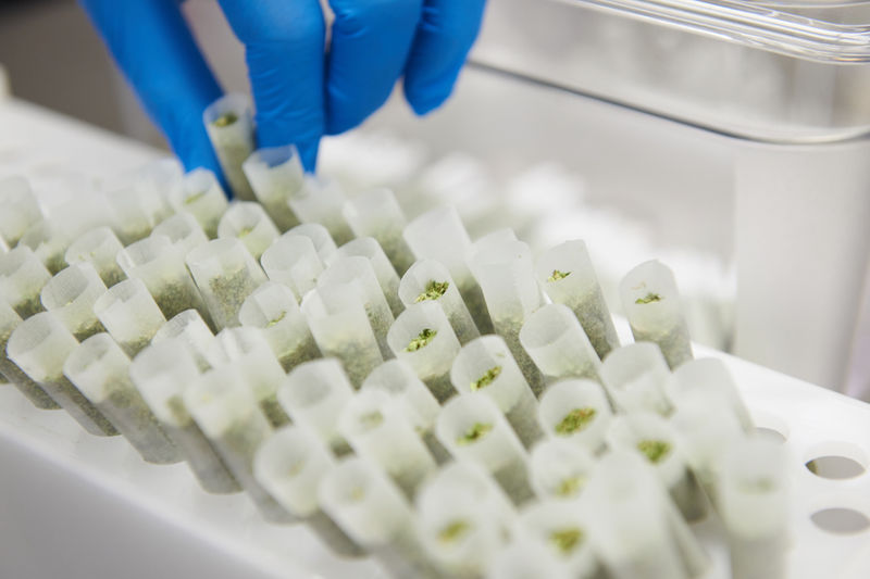 CannaBri cannabis manufacturing equipment